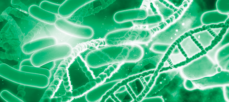 Parabióticos e Probióticos: Emagrecimento, Imunidade e Alívio para o Intestino Irritável