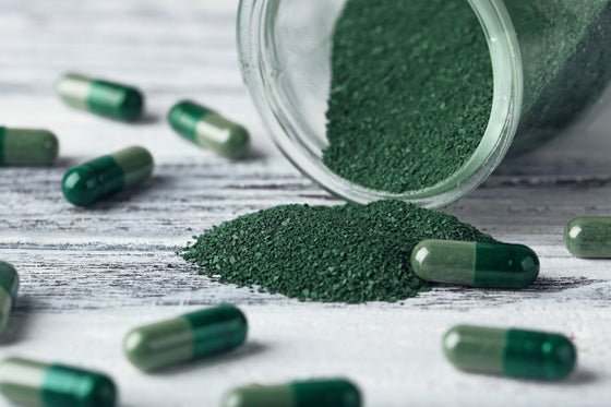 Spirulina: benefícios para saúde e boa forma